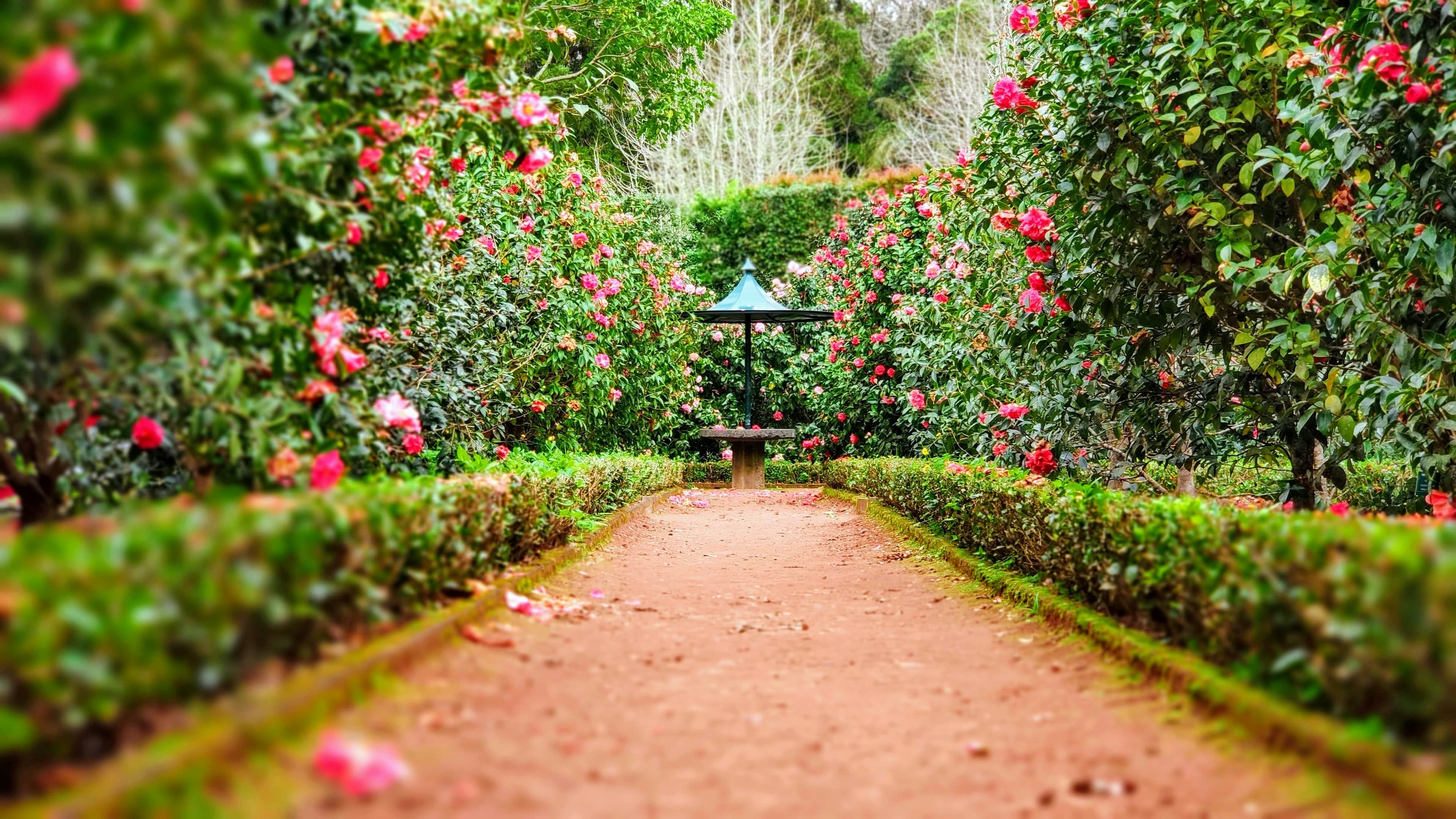 Jardin contemporain